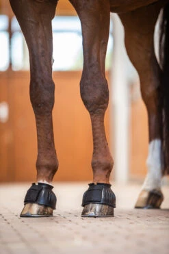 Horze Hufglocken Mit Verdrehsicherung -Horze Verkaufsgeschäft 19701 BL 4