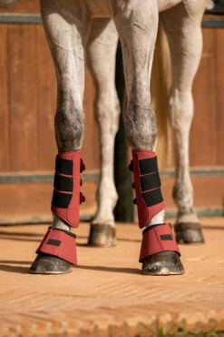 Horze Noir Hufglocken 24 Horze Noir Hufglocken -Horze Verkaufsgeschäft 19724 251 05