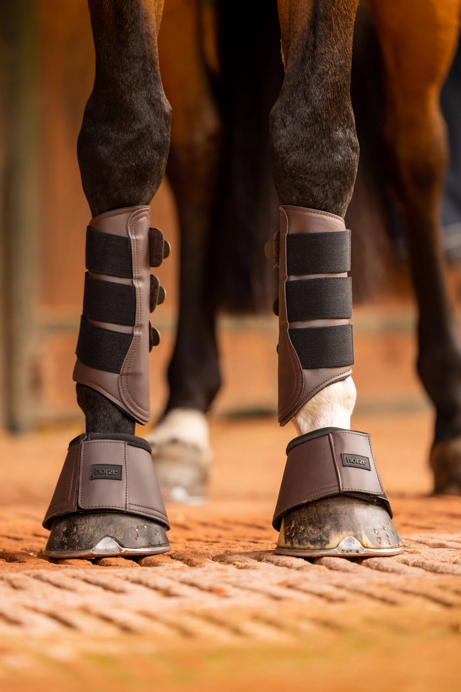 Horze Noir Hufglocken 10 Horze Noir Hufglocken – Bild 10