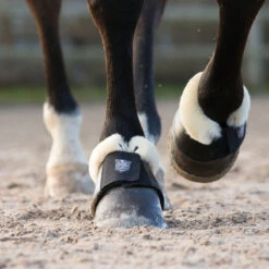 Horze Salerno Hufglocken 8 Horze Salerno Hufglocken -Horze Verkaufsgeschäft 19771 bl 04