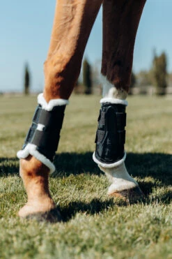 Horze Glänzende Gamaschen -Horze Verkaufsgeschäft 19961 BL 6