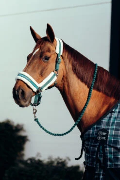 Horze Stanford Halfter Mit Kunstfellfutter 34 Horze Stanford Halfter Mit Kunstfellfutter -Horze Verkaufsgeschäft 22279 STGR 2