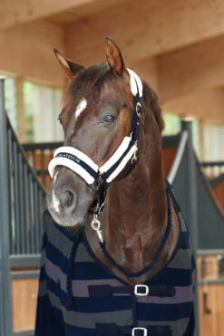 Horze Stanford Halfter Mit Kunstfellfutter 38 Horze Stanford Halfter Mit Kunstfellfutter -Horze Verkaufsgeschäft 22279 VDB 2