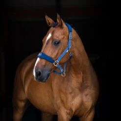 Horze Graz Halfter -Horze Verkaufsgeschäft 22299 MJB 2