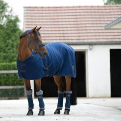 Horze Graz Halfter -Horze Verkaufsgeschäft 22299 MJB 3