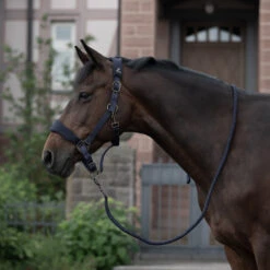 Horze Graz Halfter -Horze Verkaufsgeschäft 22299 PDB 3