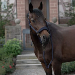 Horze Graz Halfter -Horze Verkaufsgeschäft 22299 PDB 5