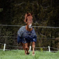 Horze Carlisle Halfter -Horze Verkaufsgeschäft 22300 DBR 2