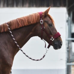 Horze Kiel Halfter Mit Fleece -Horze Verkaufsgeschäft 22301 DRE 2