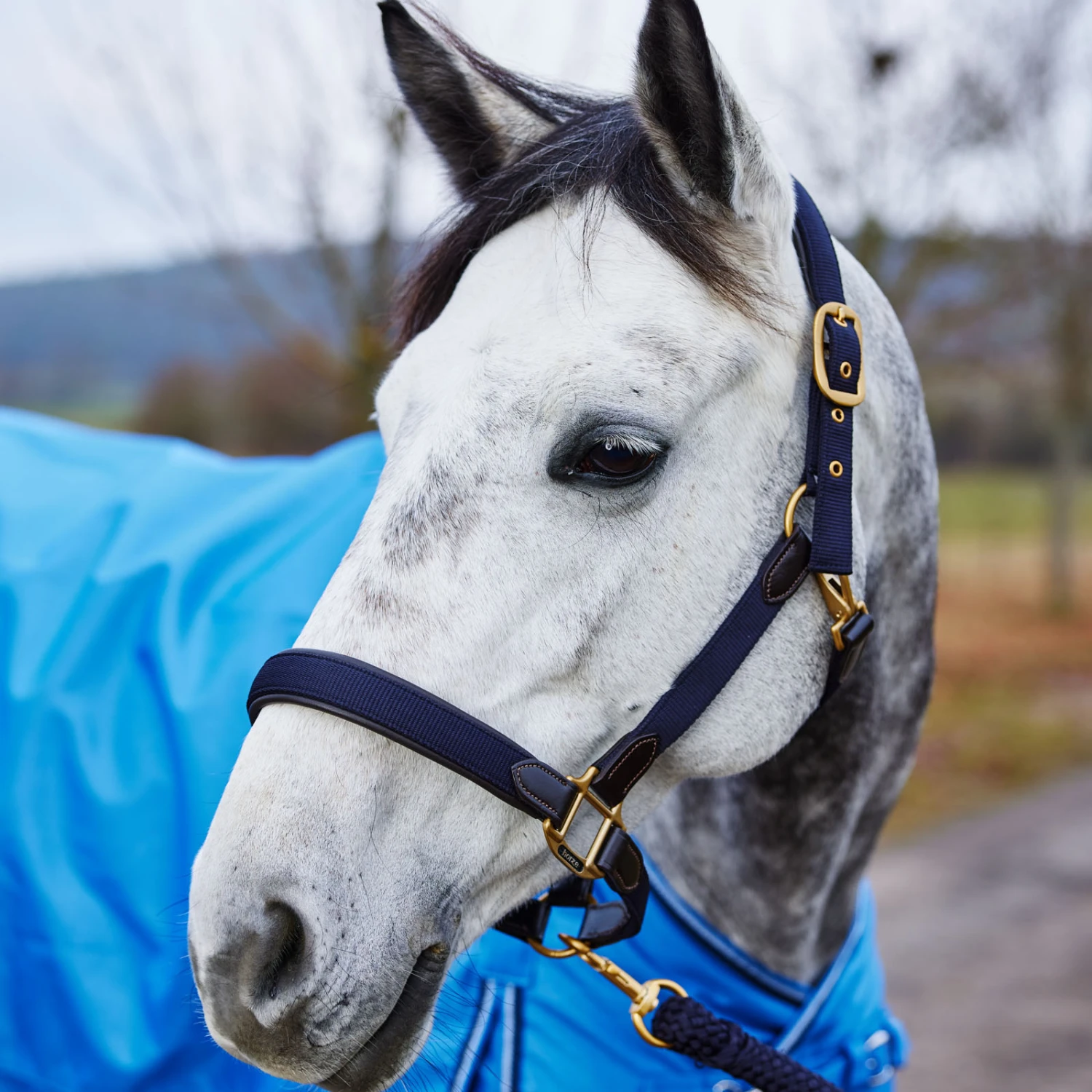 Horze Halfter Mit Lederdetails 2 Horze Halfter Mit Lederdetails – Bild 2