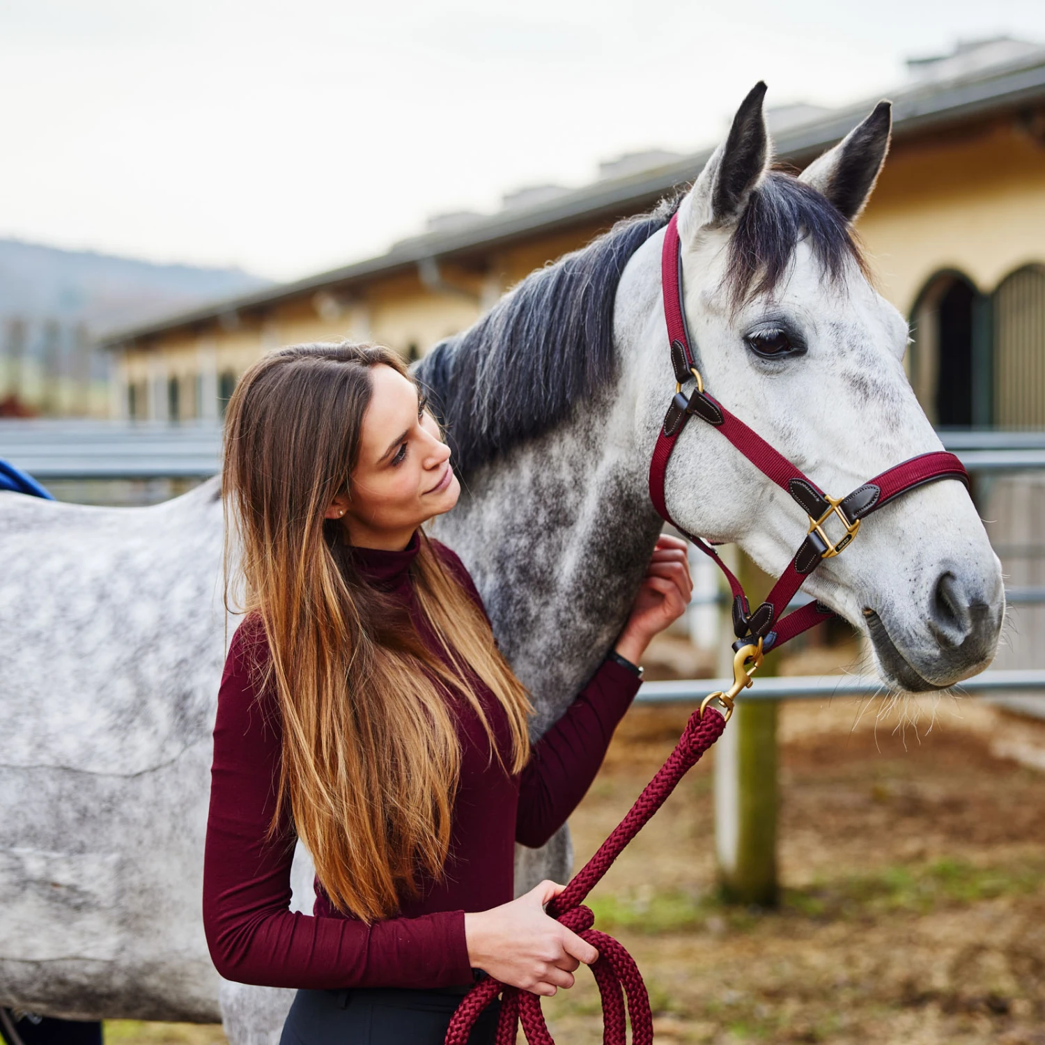 Horze Halfter Mit Lederdetails 7 Horze Halfter Mit Lederdetails – Bild 7