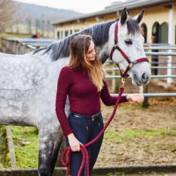 Horze Halfter Mit Lederdetails 23 Horze Halfter Mit Lederdetails -Horze Verkaufsgeschäft 22312 DRE 4