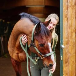 Horze Halfter Mit Lederdetails 26 Horze Halfter Mit Lederdetails -Horze Verkaufsgeschäft 22312 GR 3