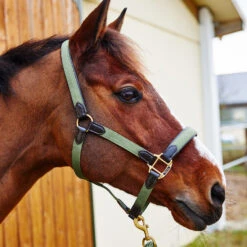 Horze Halfter Mit Lederdetails 27 Horze Halfter Mit Lederdetails -Horze Verkaufsgeschäft 22312 GR 4