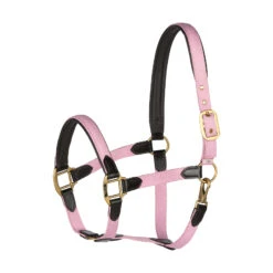 Horze Halfter Mit Lederdetails 29 Horze Halfter Mit Lederdetails -Horze Verkaufsgeschäft 22312 PI 1