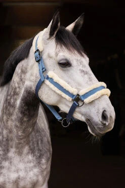 Horze Marquess Halfter Mit Kunstfellfutter -Horze Verkaufsgeschäft 22314 AGNB 3