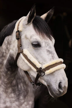 Horze Marquess Halfter Mit Kunstfellfutter -Horze Verkaufsgeschäft 22314 WBR 2