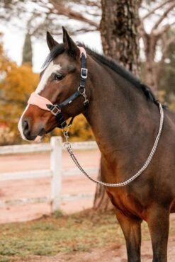 Horze Trixi Pony Halfter -Horze Verkaufsgeschäft 22321 590 05