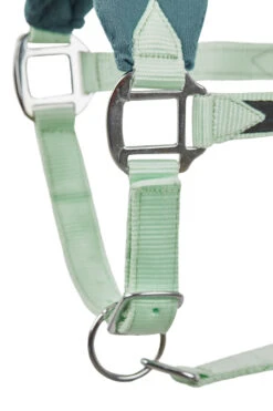 Horze Trixi Pony Halfter -Horze Verkaufsgeschäft 22321 615 03