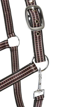 Horze Sudbury Haflter -Horze Verkaufsgeschäft 22323 bl rrbr 03