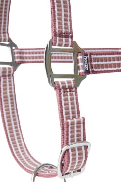 Horze Sudbury Haflter -Horze Verkaufsgeschäft 22323 msre dtbe 02