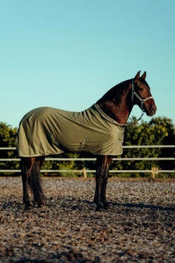 Horze Munich Halfter & Führstrick Set -Horze Verkaufsgeschäft 22332 OVGR 2