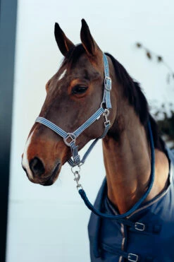 Horze Munich Halfter & Führstrick Set -Horze Verkaufsgeschäft 22332 RPB 2