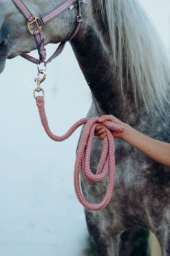 Horze Munich Halfter & Führstrick Set -Horze Verkaufsgeschäft 22332 RTPI 3