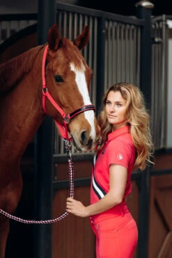 Horze Oslo Halfter -Horze Verkaufsgeschäft 22335 RGRE 2