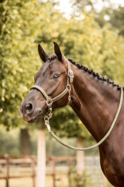 Horze Victoria Halfter 15 Horze Victoria Halfter -Horze Verkaufsgeschäft 22340 bkgr 04