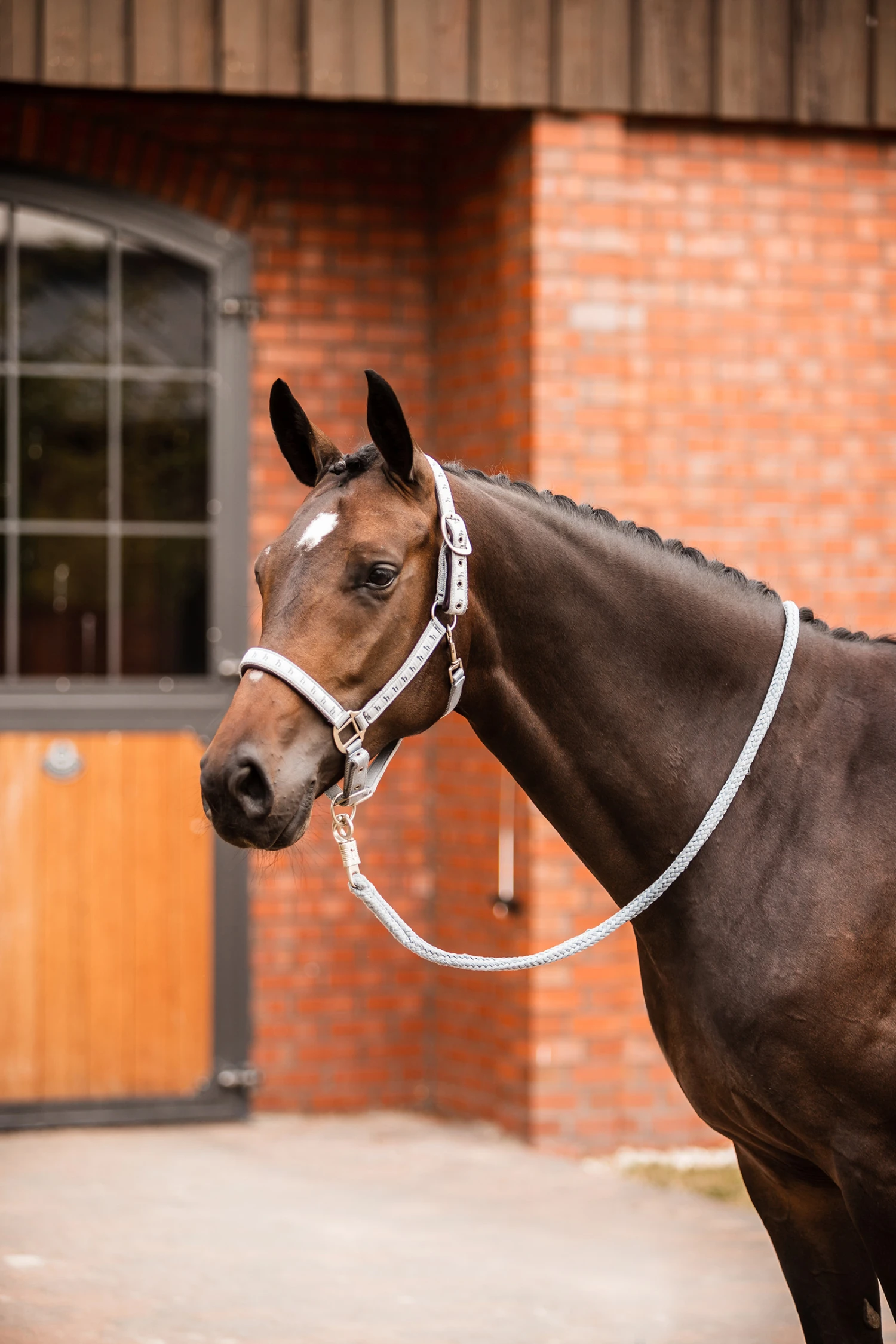 Horze Victoria Halfter 12 Horze Victoria Halfter – Bild 12