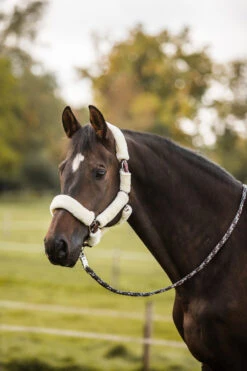 Horze Leighton Teens Collection Halfter Mit Kunstfell -Horze Verkaufsgeschäft 22342 rrbr 04