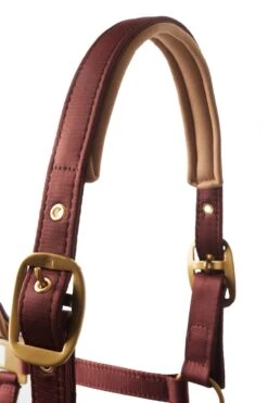 Horze Terrazzo Satin Halfter -Horze Verkaufsgeschäft 22348 281 03