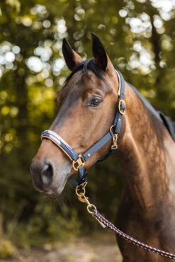 Horze Terrazzo Satin Halfter -Horze Verkaufsgeschäft 22348 590 05