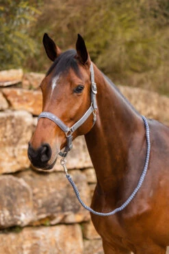 Horze Navajo Halfter -Horze Verkaufsgeschäft 22352 060 05