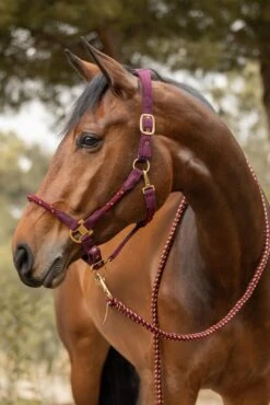 Horze Kenya Anatomisches Seilhalfter -Horze Verkaufsgeschäft 22354 251 05