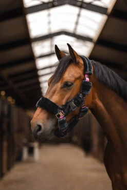 Horze Smoky Twilight Kunstfellhalfter -Horze Verkaufsgeschäft 22366 089 05