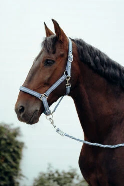 Horze Halfter & Führstrick Set Mit Metallic Streifen -Horze Verkaufsgeschäft 22501 LB 2