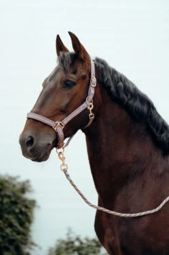 Horze Halfter & Führstrick Set Mit Metallic Streifen -Horze Verkaufsgeschäft 22501 LPU 2