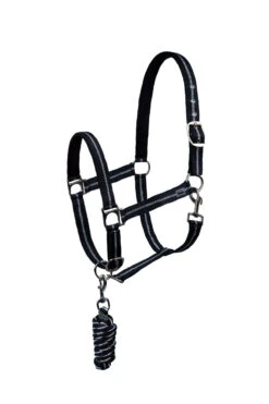 Horze Halfter & Führstrick Set Mit Metallic Streifen -Horze Verkaufsgeschäft 22501 MDB 1