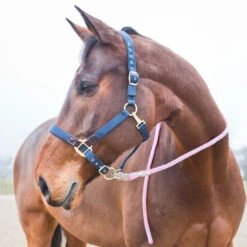 Horze Führstrick, Panikhaken -Horze Verkaufsgeschäft 22605 PI 3