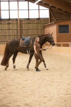 Horze Glarus Fliegenhaube Mit Metallischem Flechtdetail -Horze Verkaufsgeschäft 22917 bdbr 04