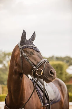 Horze Victoria Fliegenhaube -Horze Verkaufsgeschäft 22940 ikb 02