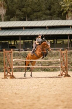 Horze Kenya Fliegenhaube 21 Horze Kenya Fliegenhaube -Horze Verkaufsgeschäft 22947 753 06