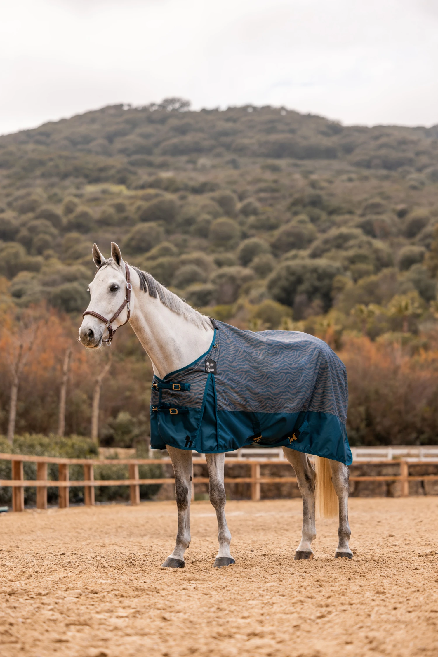 Horze Nevada 600D Regendecke, 0g 5 Horze Nevada 600D Regendecke, 0g – Bild 5