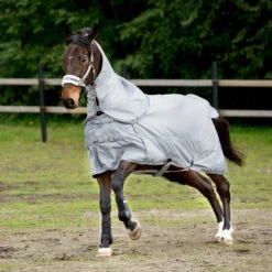 Horze Nevada 600D Regendecke, 0g 18 Horze Nevada 600D Regendecke, 0g -Horze Verkaufsgeschäft 24056 LRG 2