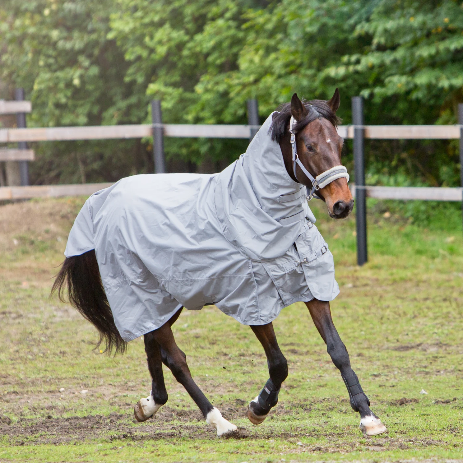 Horze Nevada 600D Regendecke, 0g 8 Horze Nevada 600D Regendecke, 0g – Bild 8