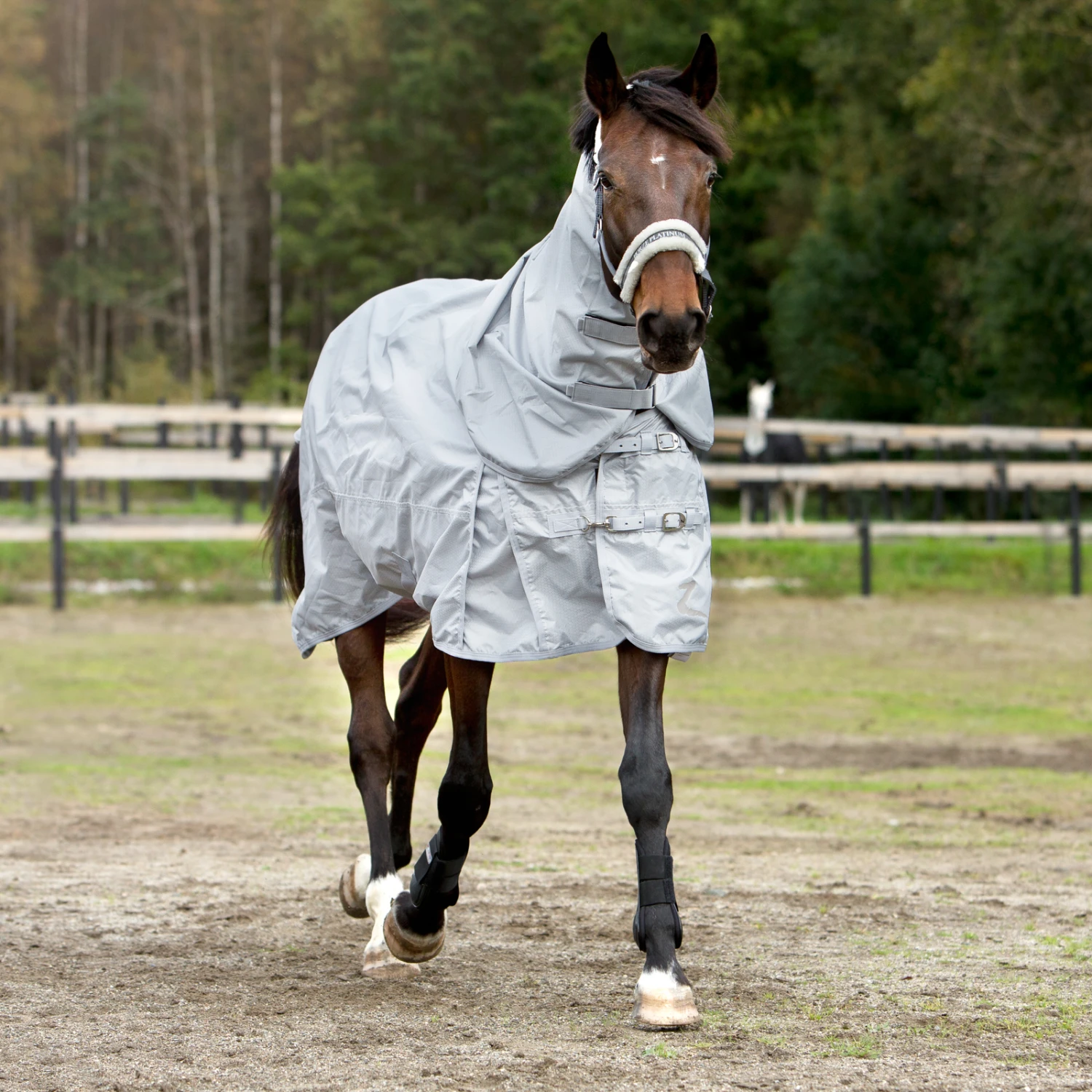 Horze Nevada 600D Regendecke, 0g 9 Horze Nevada 600D Regendecke, 0g – Bild 9