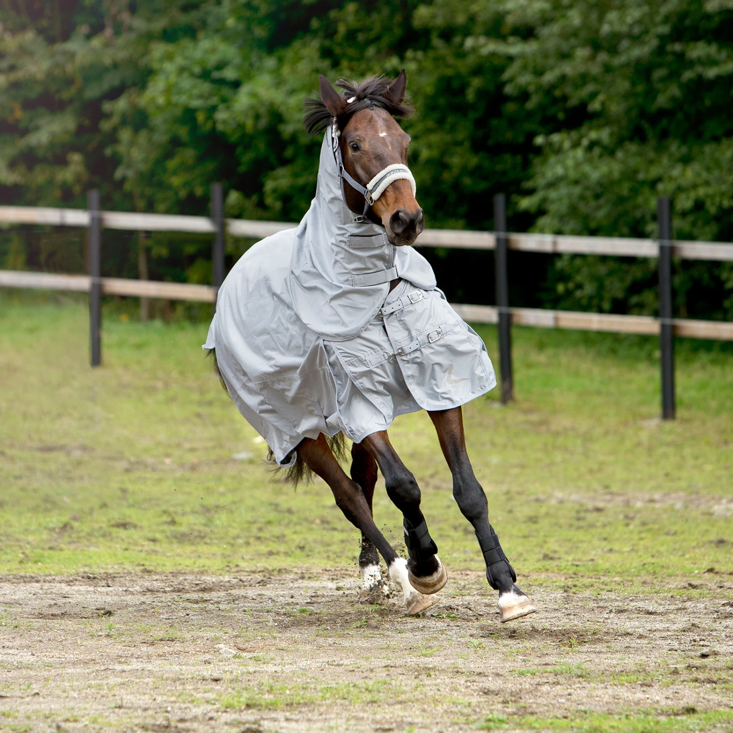 Horze Nevada 600D Regendecke, 0g 10 Horze Nevada 600D Regendecke, 0g – Bild 10