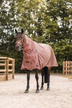 Horze Avalanche Weidedecke Mit Festem Halsteil, 150g -Horze Verkaufsgeschäft 24089 281 07